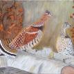 Two Partridges