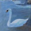 Swan